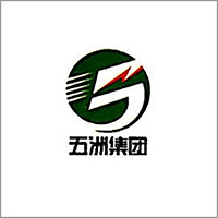 山东五洲电气股份有限公司